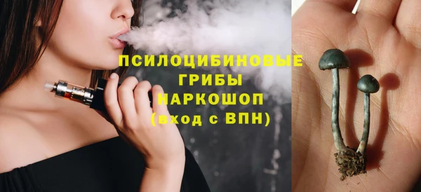 синтетический гашиш Алексин